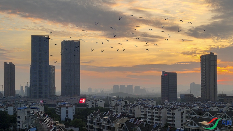 G20210620191110-.jpg