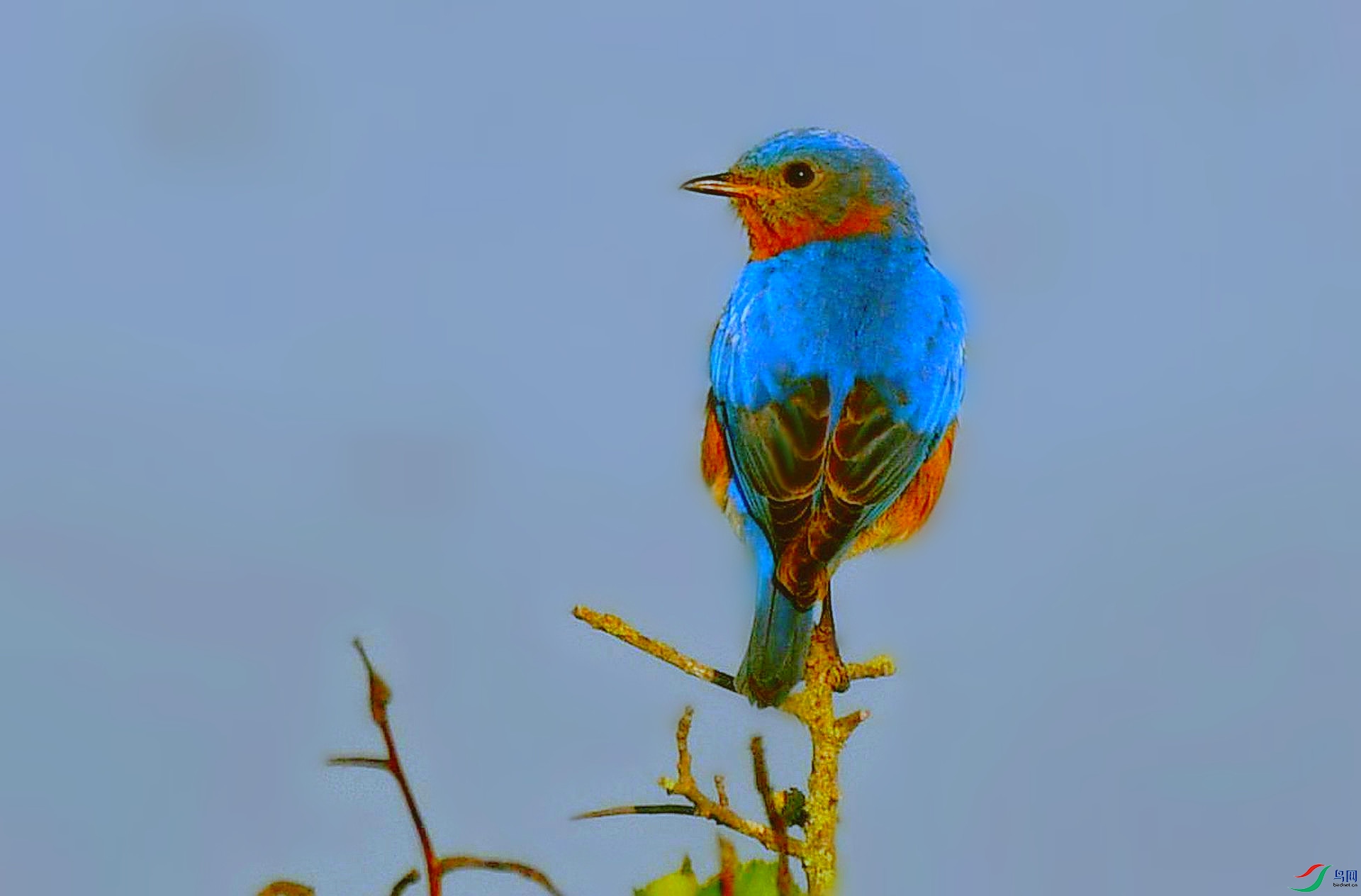DSC_5980_����.jpg