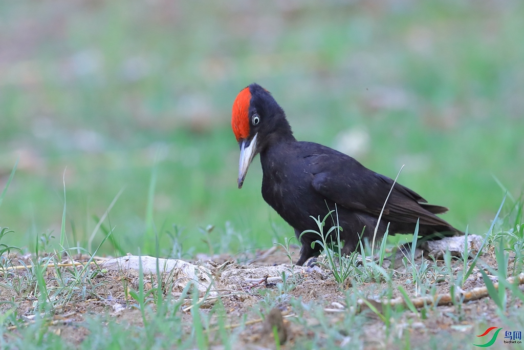 _19I0116.JPG