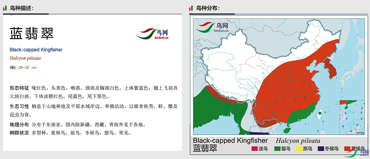 f5c6a28f24060c60e72b559d516676d.png
