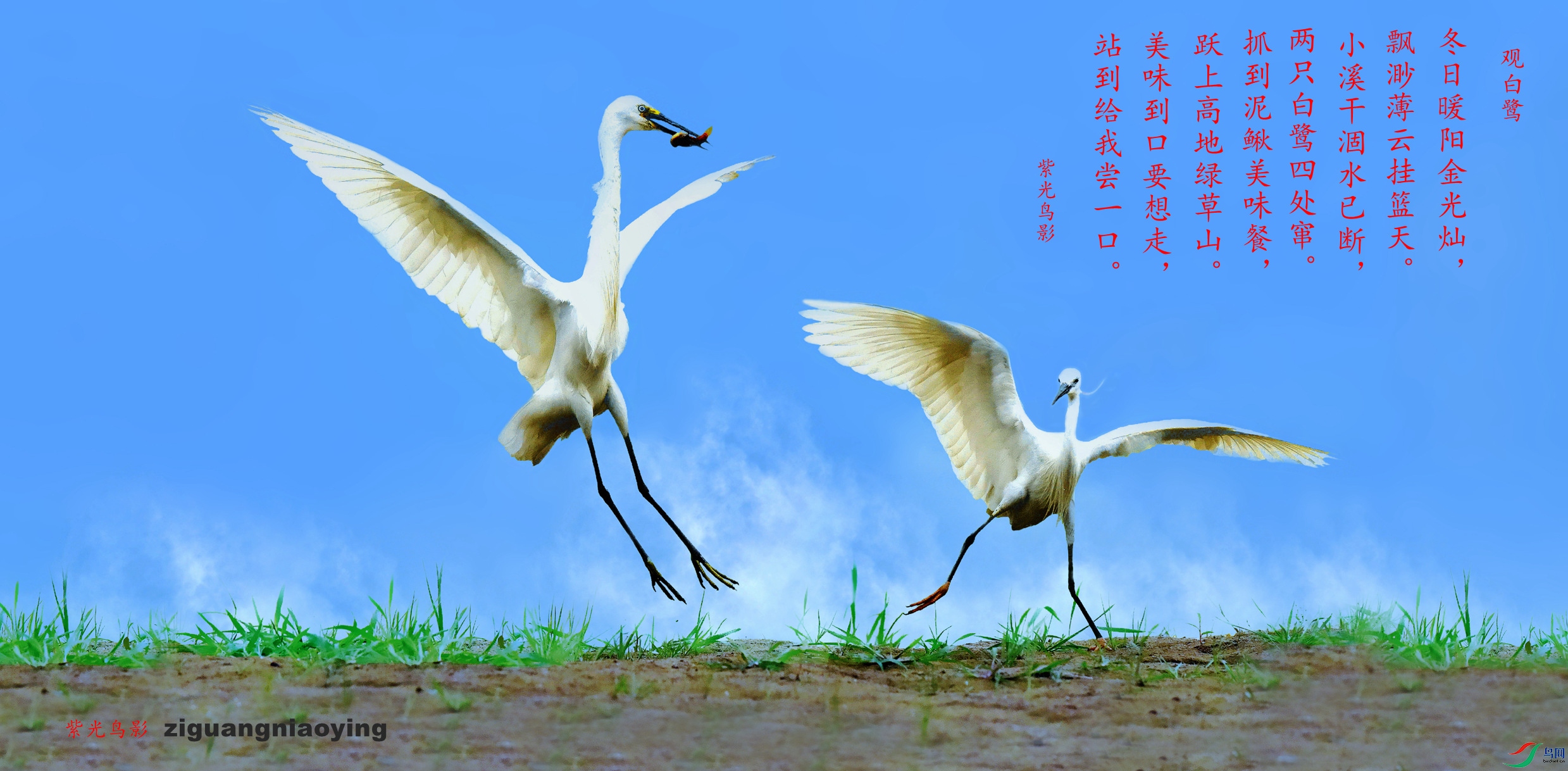 ABR_4790_����_����_����.jpg