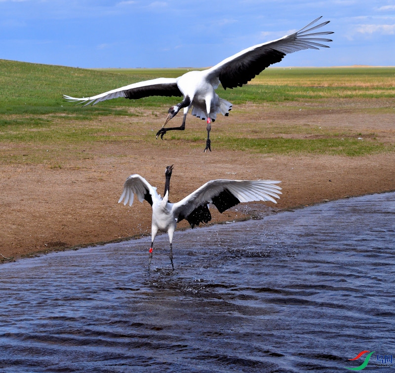 DSC_4601_02.JPG