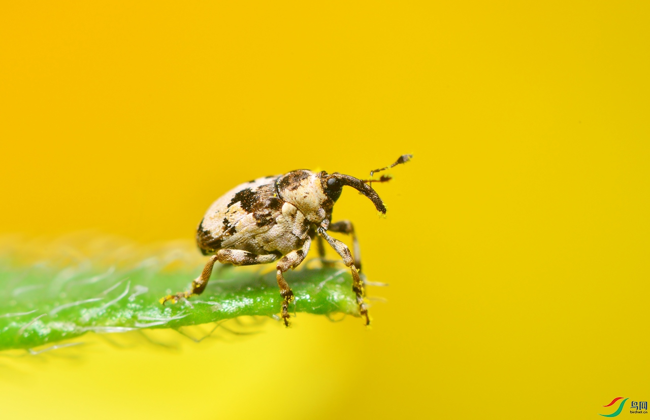 DSC_7064 ����.jpg