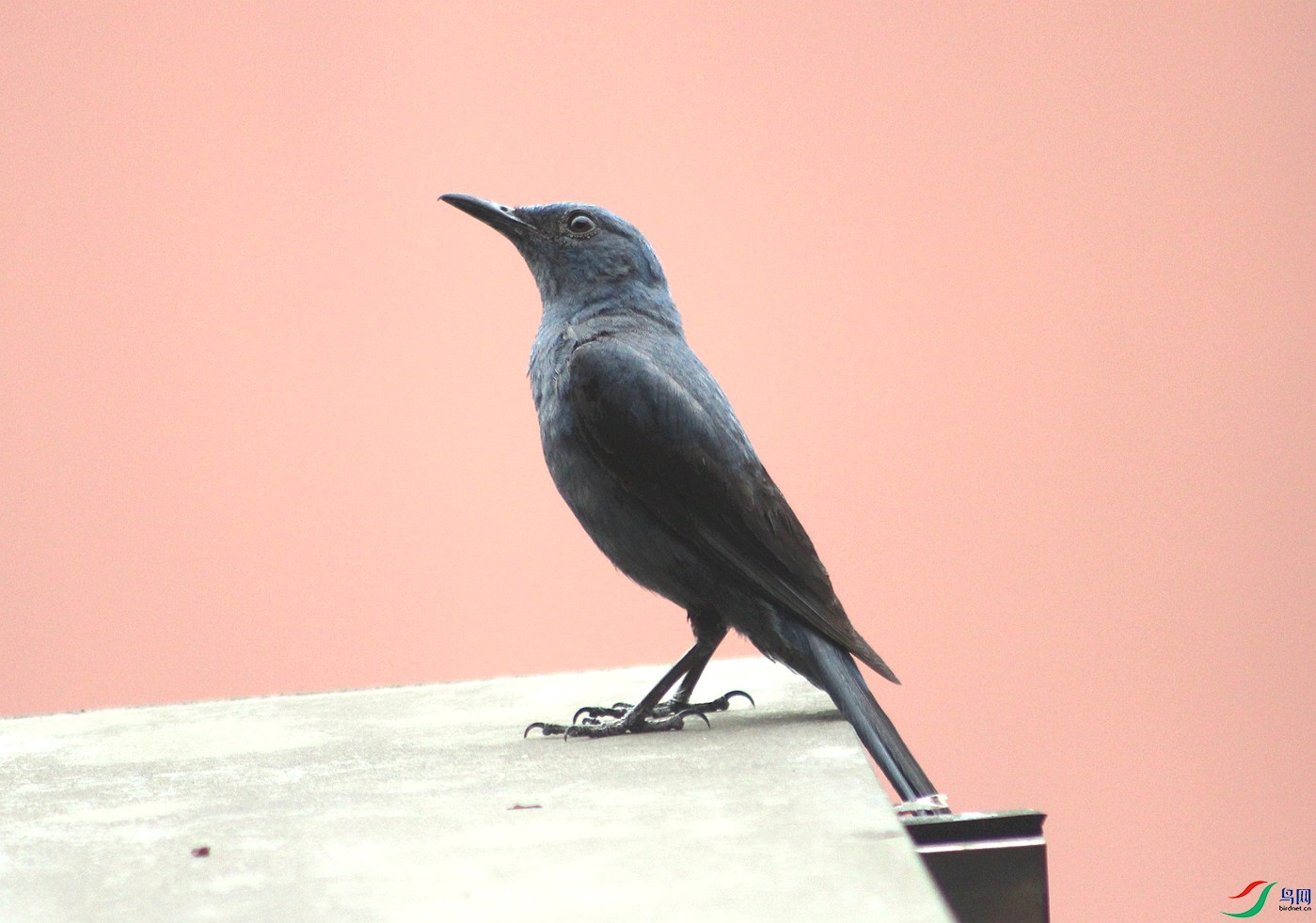 IMG_0005.JPG