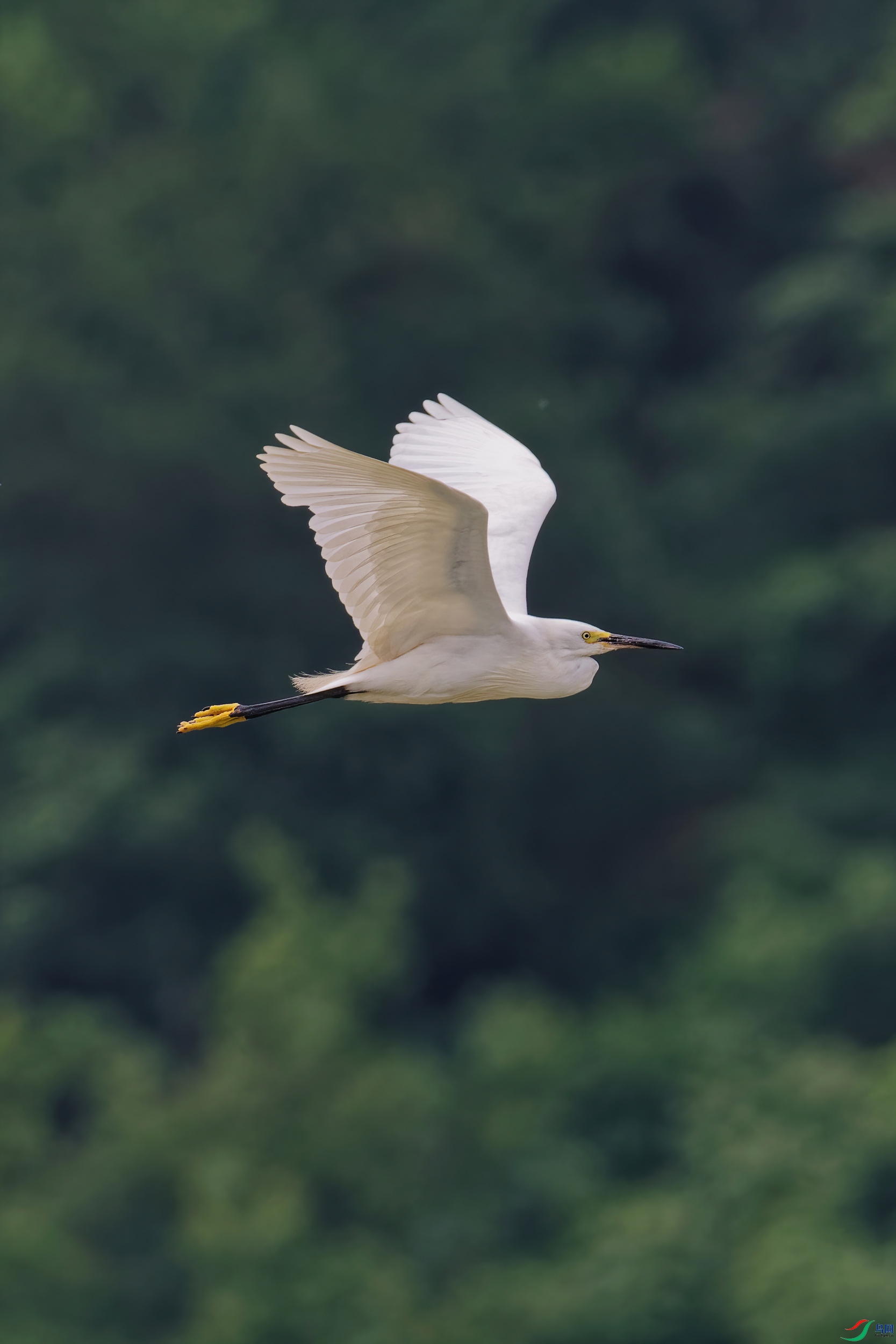 P6160069_DxO-d2.jpg