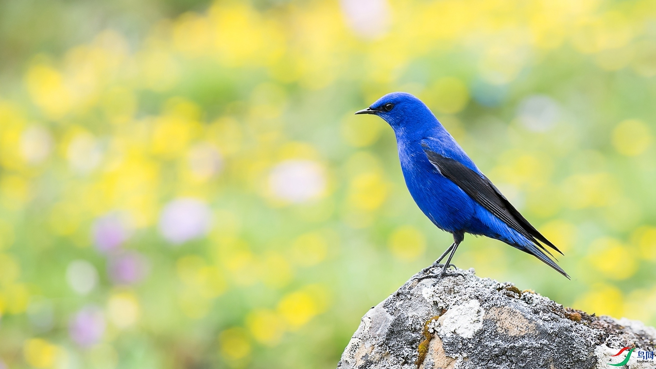 DSC_1394 - ����.jpg