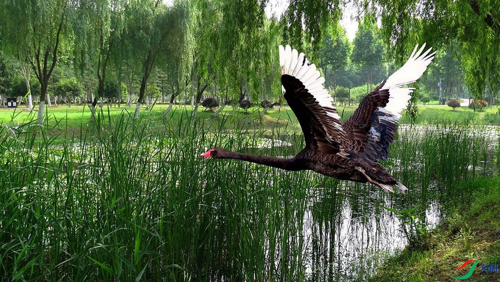 870 (4)_����_����_����.jpg