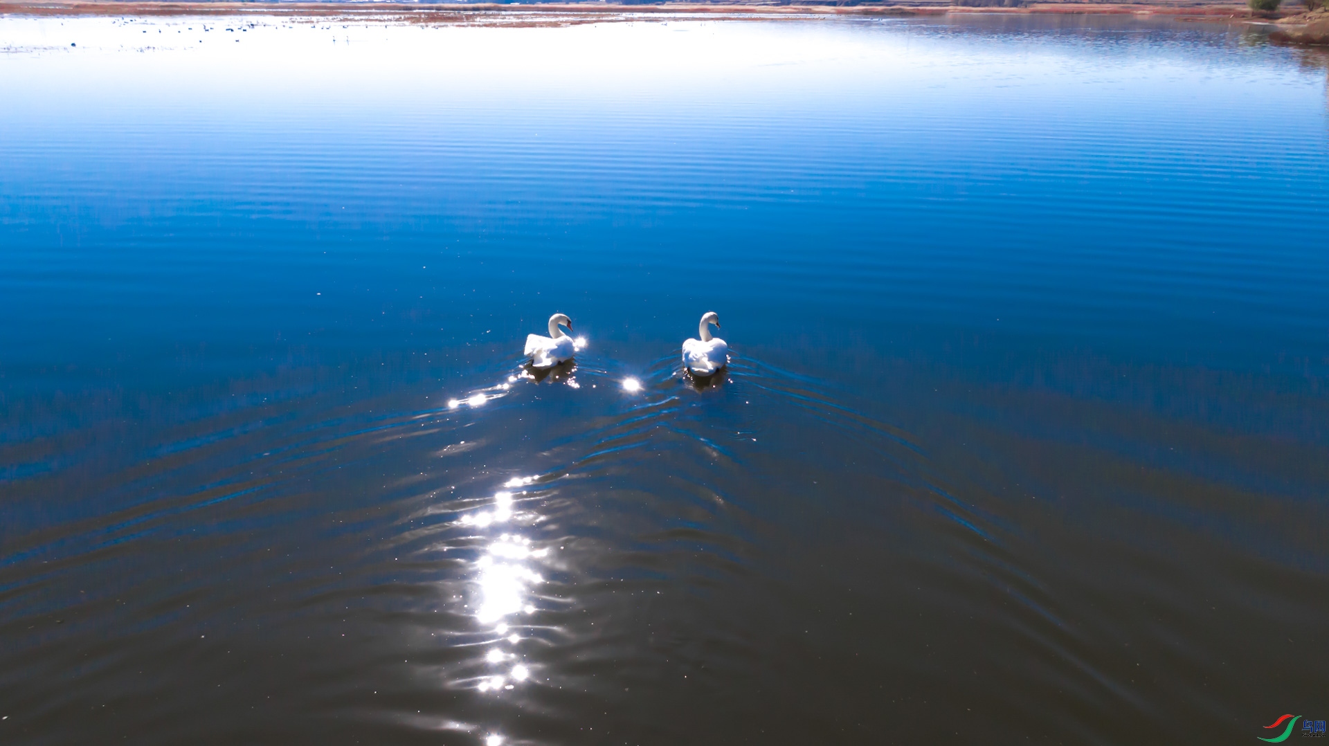 DJI_0006.jpg
