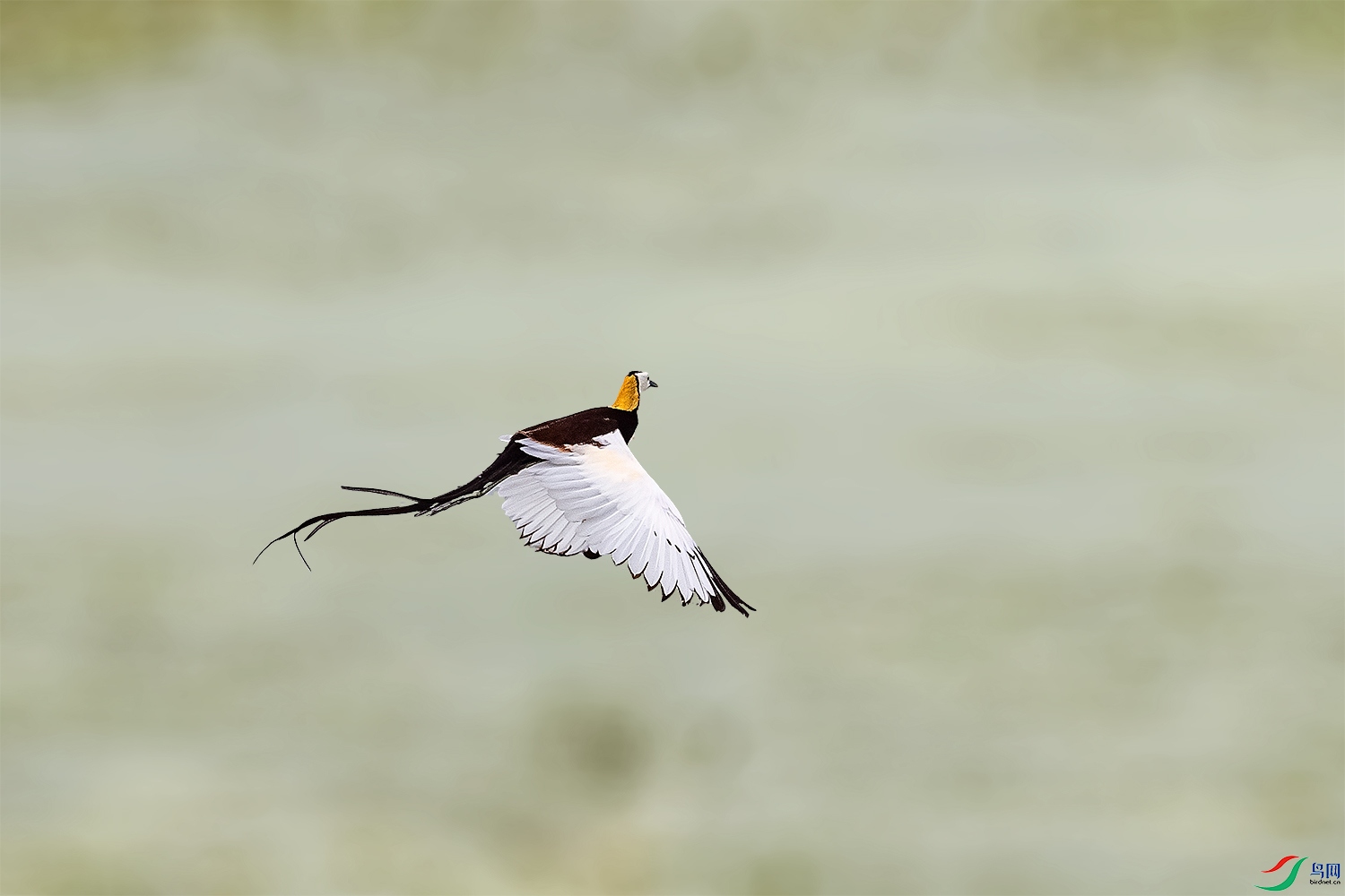 DSC_0670-2.jpg