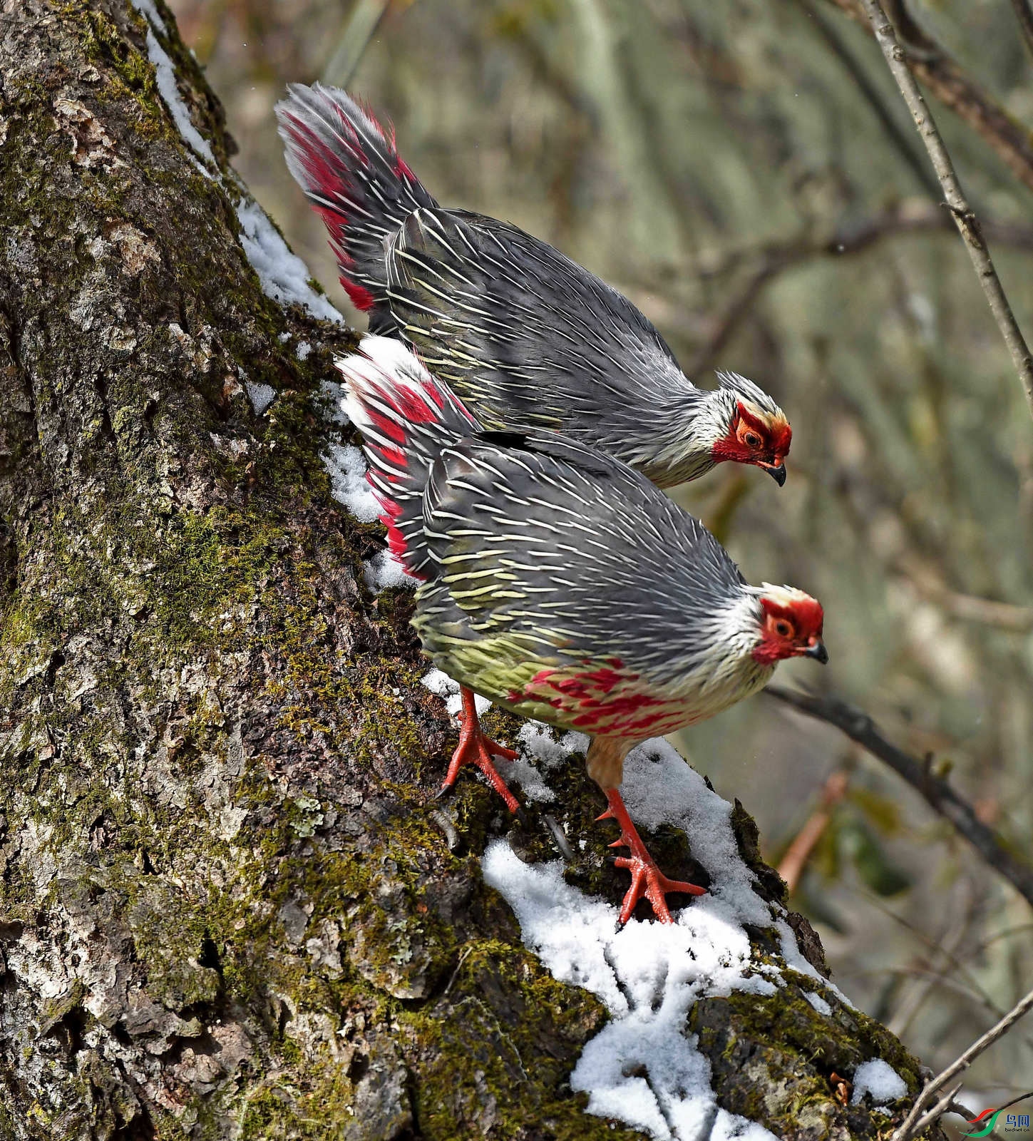 DSC_9368.JPG