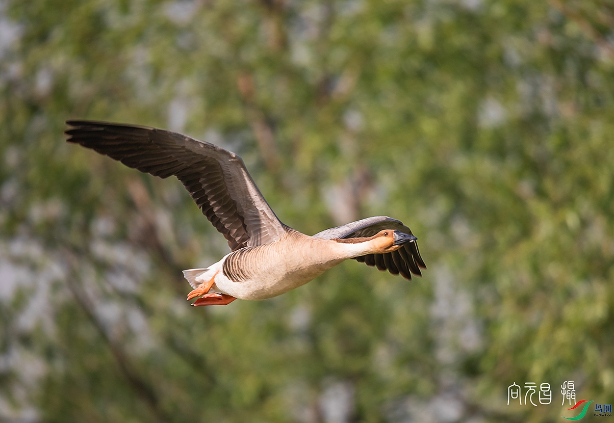 817A7962-1a-1bc.jpg