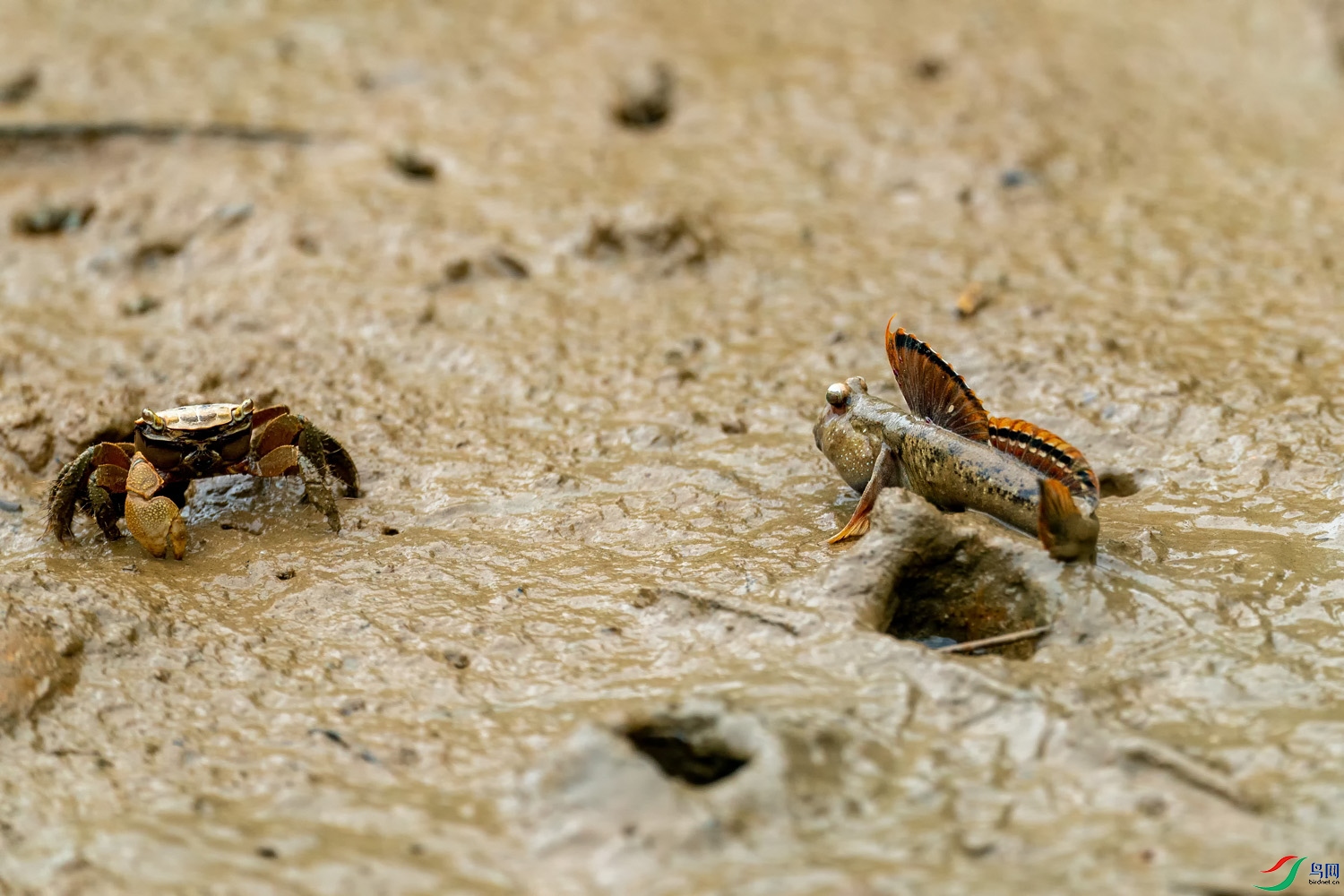 A9D01762a.jpg