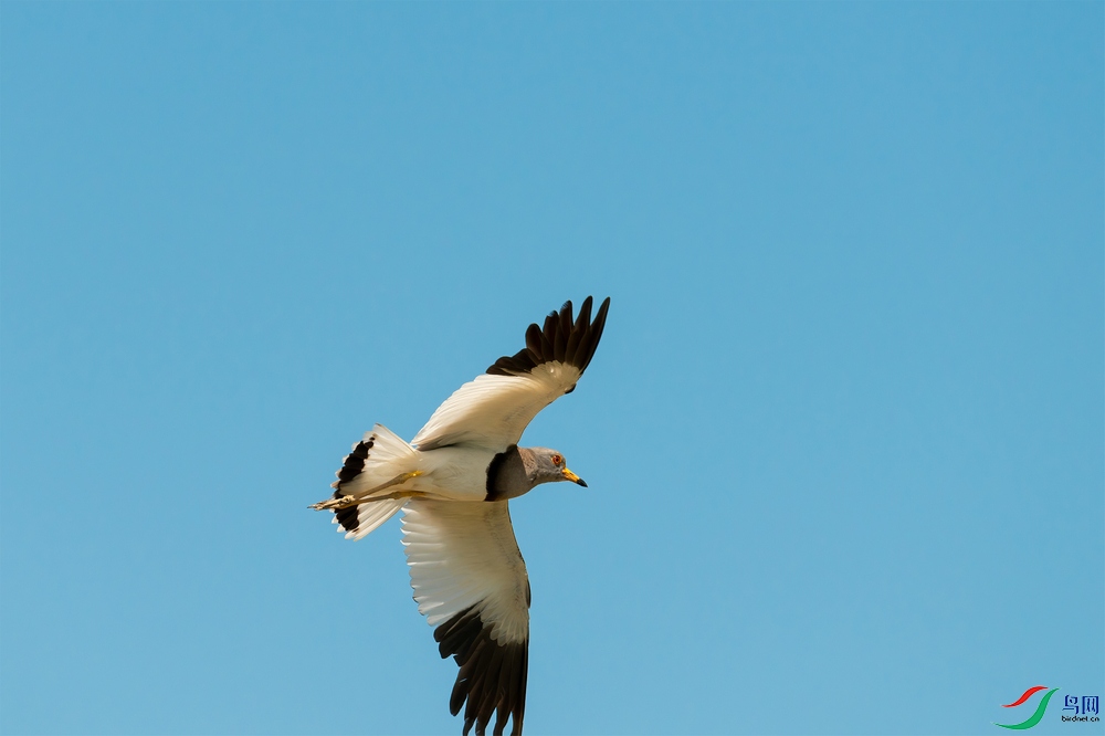 nEO_IMG_DSC_8905-1.jpg