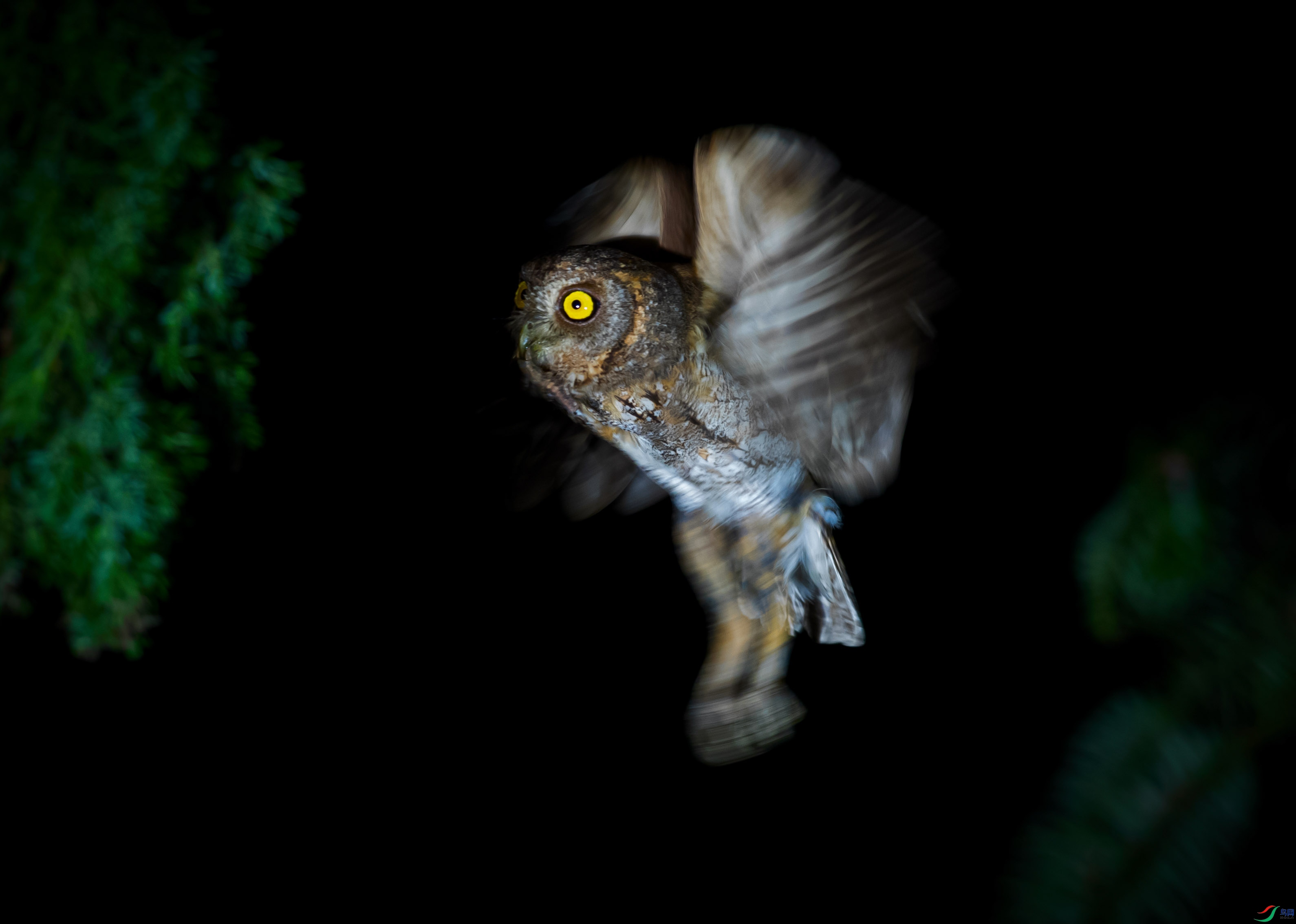 ��ǹ�Ĳ�Ҫ�����ĵؽ���