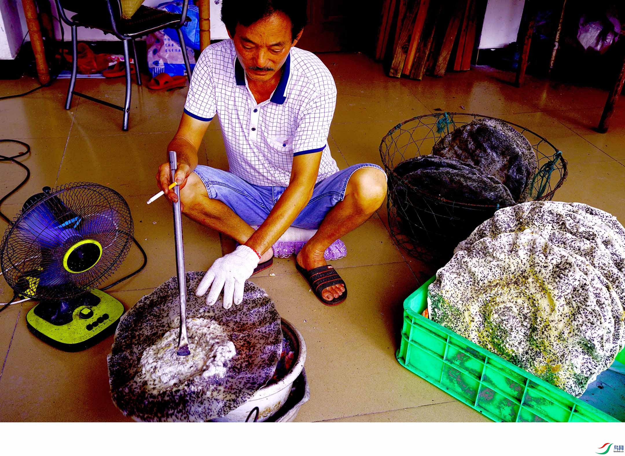 DSC02383 ����.jpg