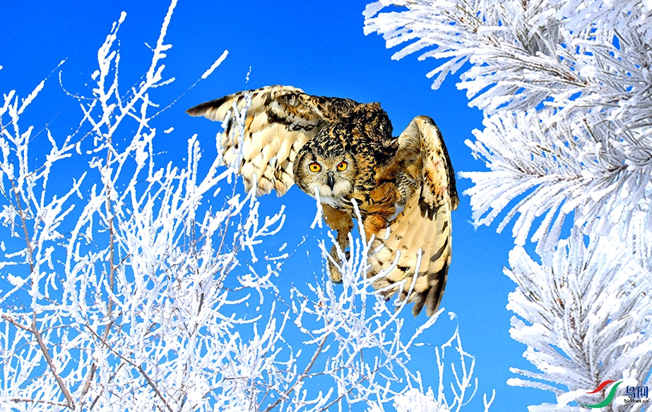 5.��Խ������-���{9791AM2.jpg