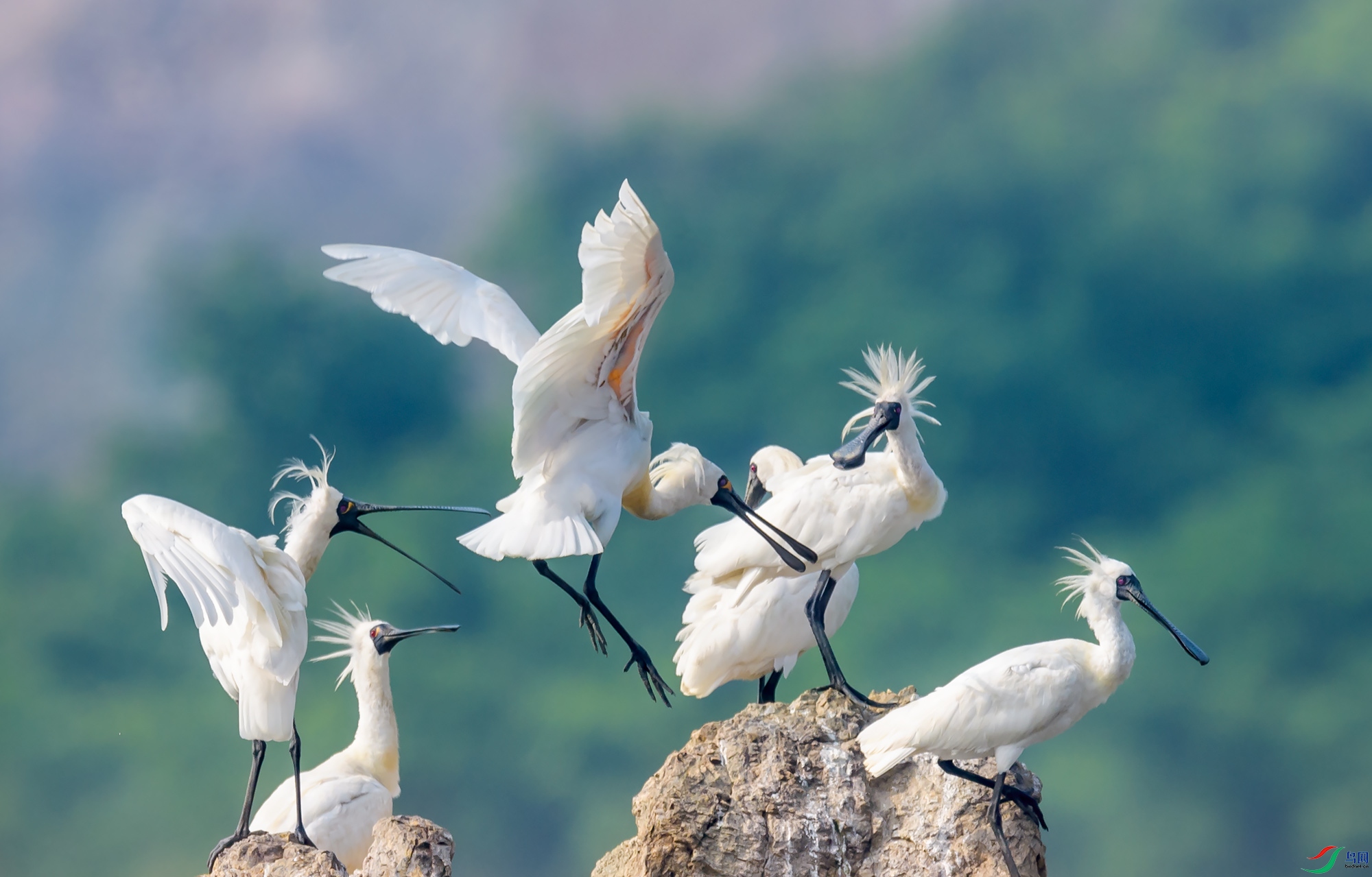 ��������