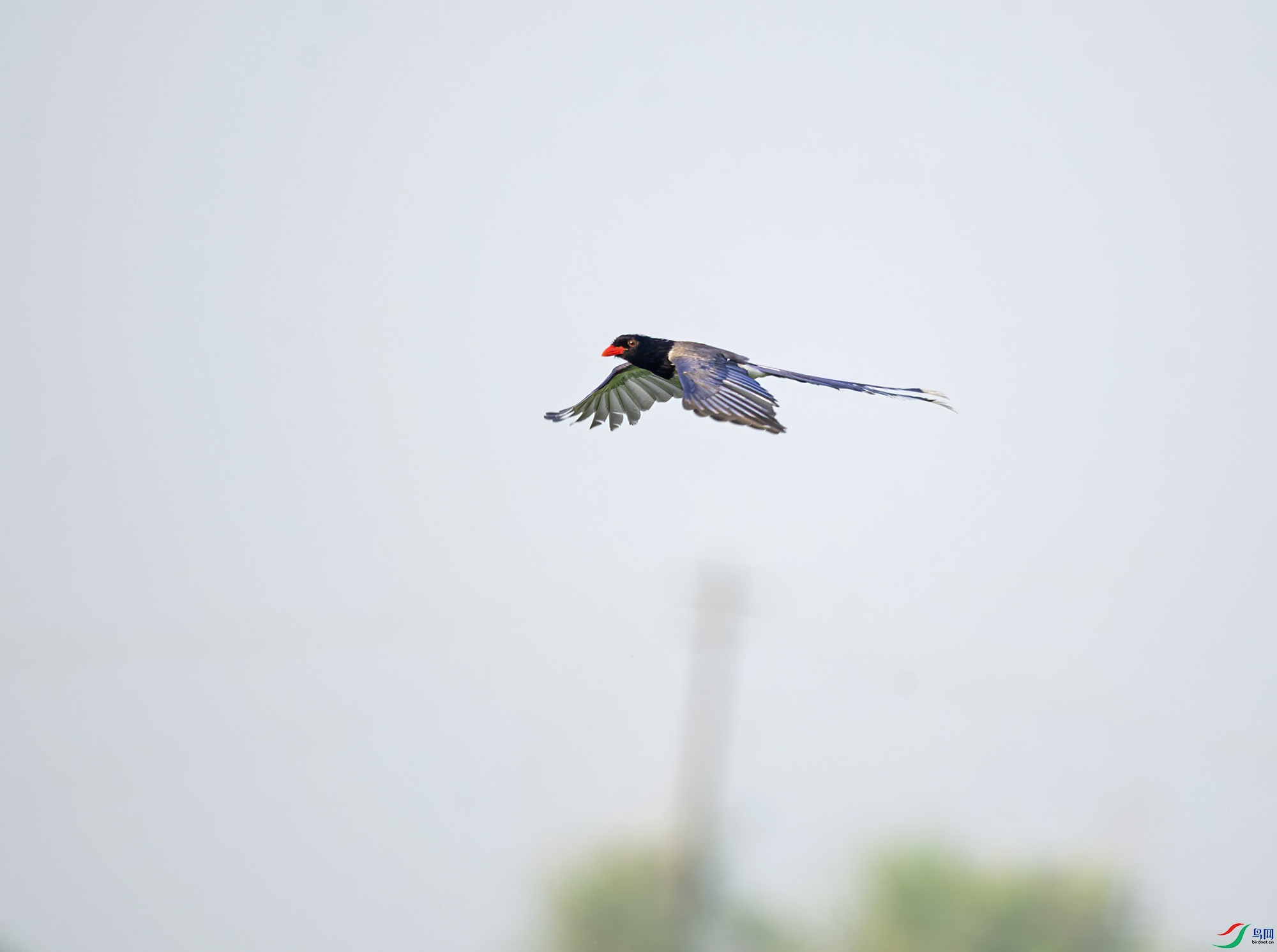 DSC_8278.jpg