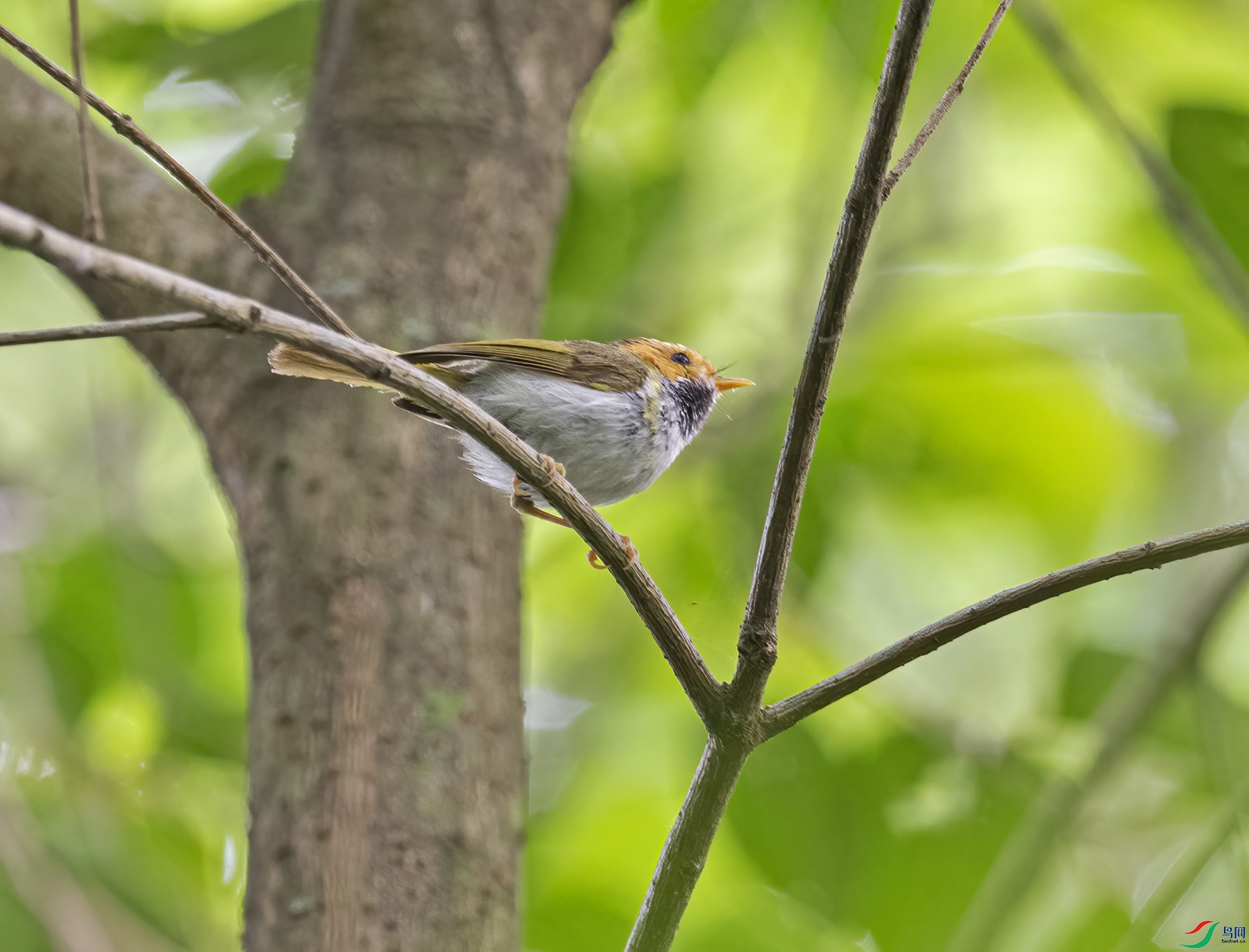 DSC_8468.jpg