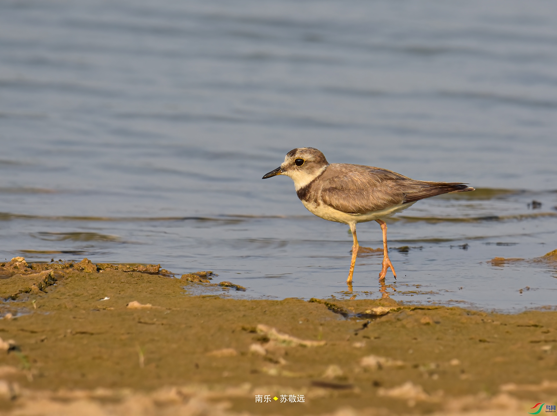 _DSC1416С.jpg