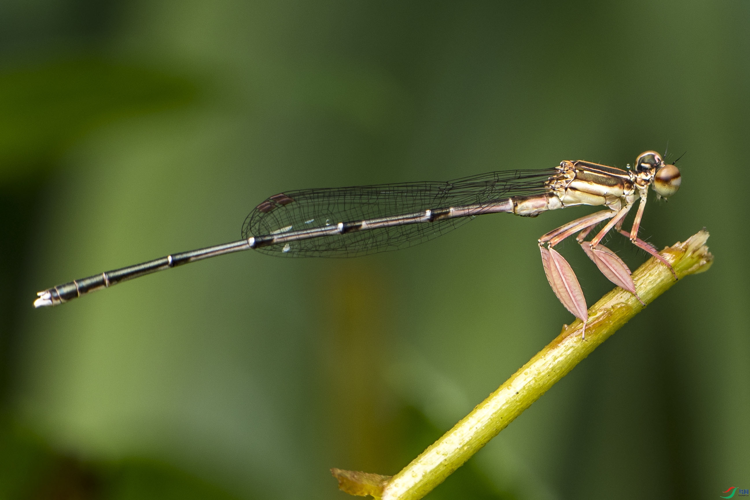 DSC_4396.jpg