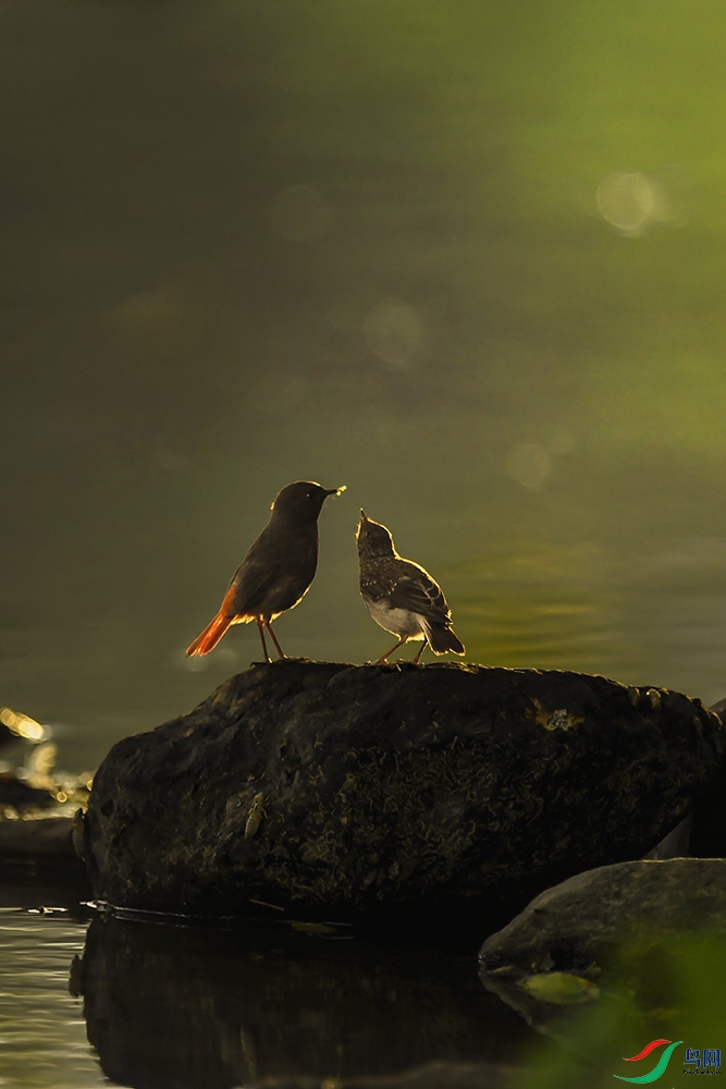 ���裬��Ҫ