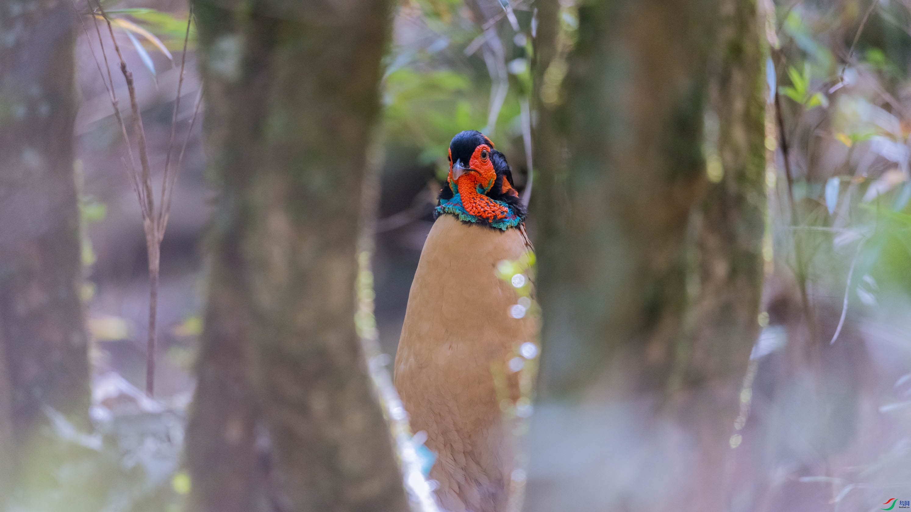 DSC_9287.jpg