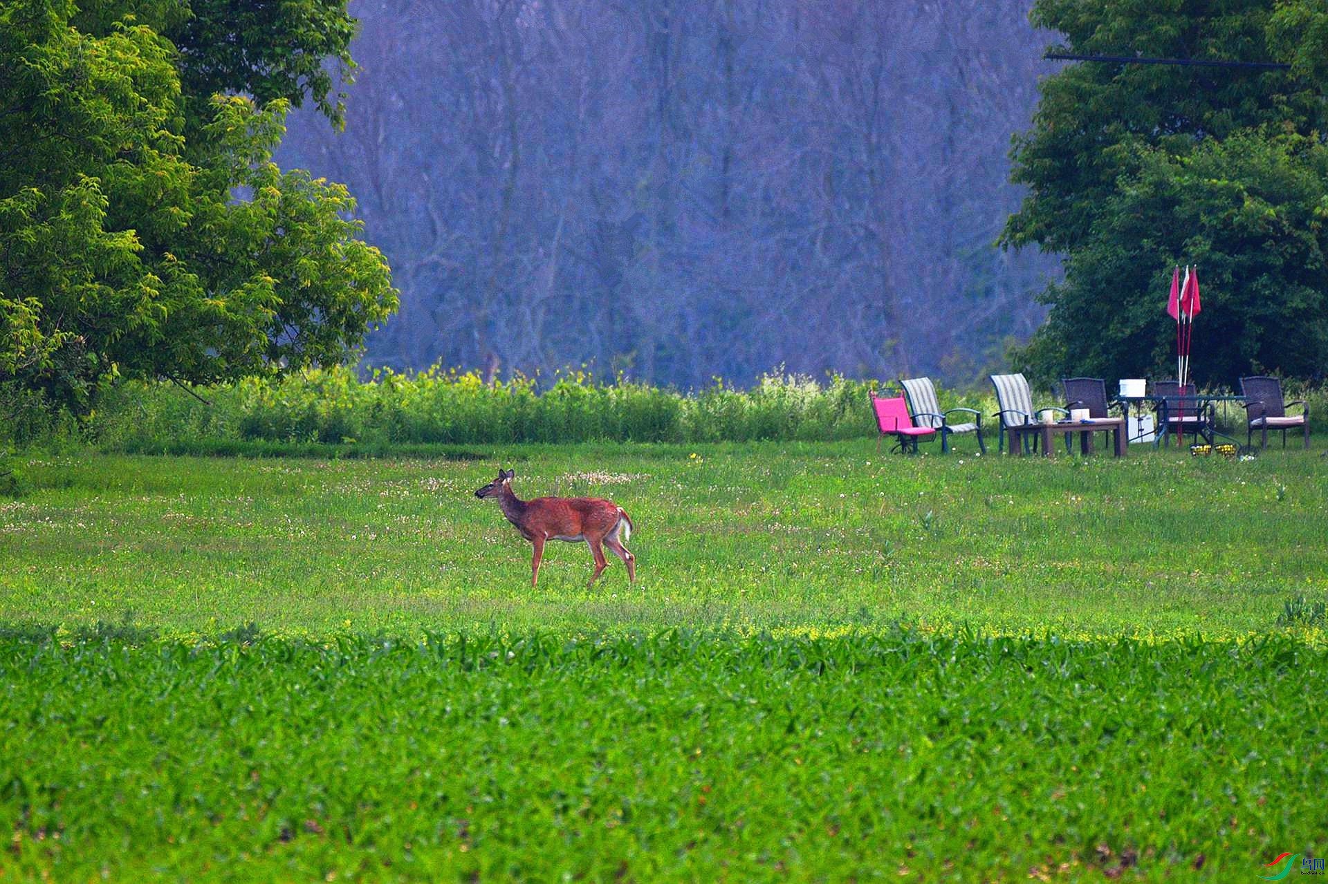 DSC_8238_����.jpg