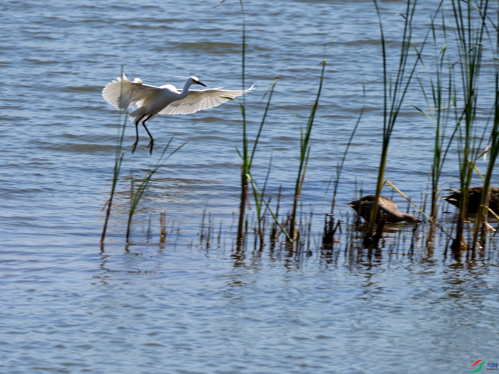 ���ؽ���