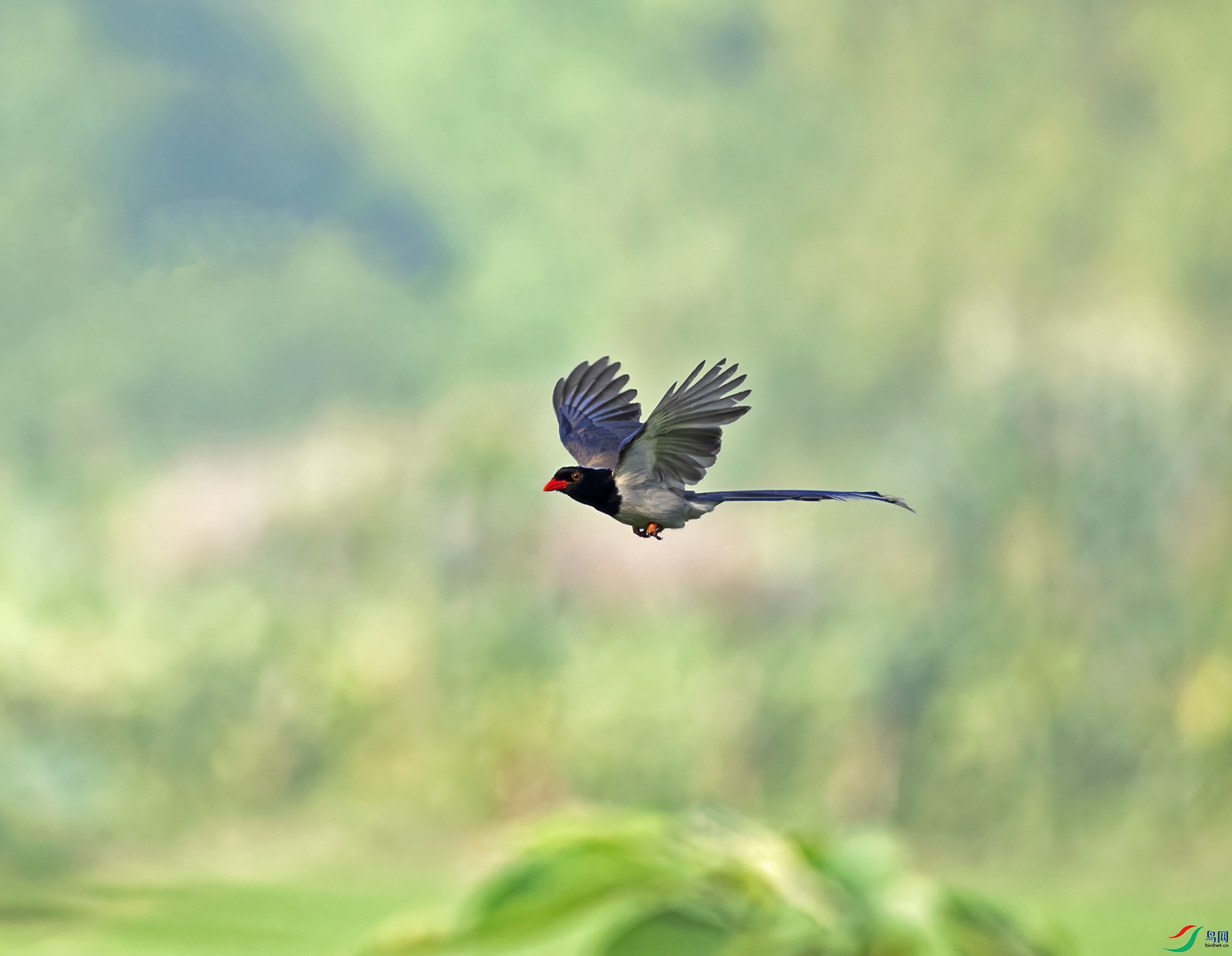 DSC_8276-4.jpg