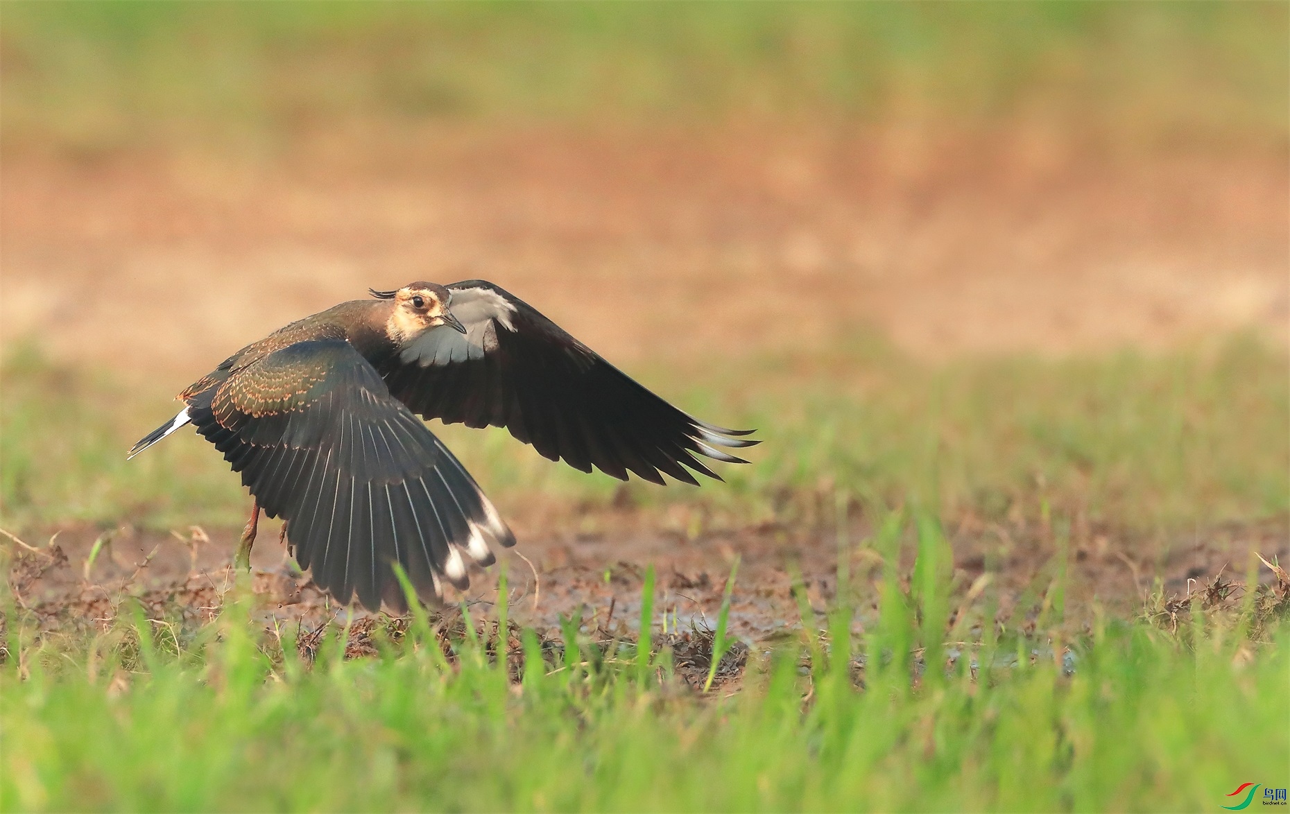 2 - ����.JPG