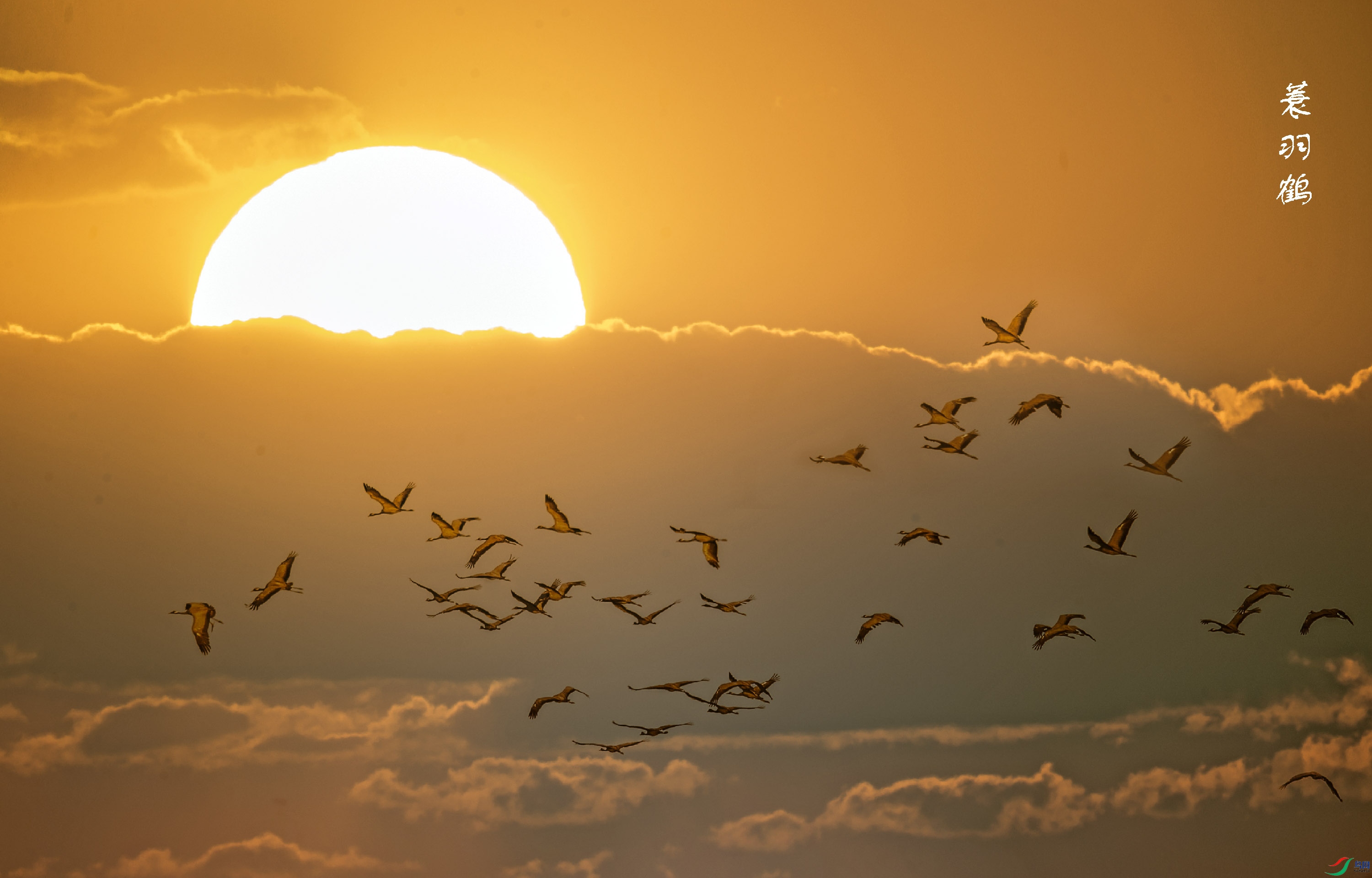 ����֮��