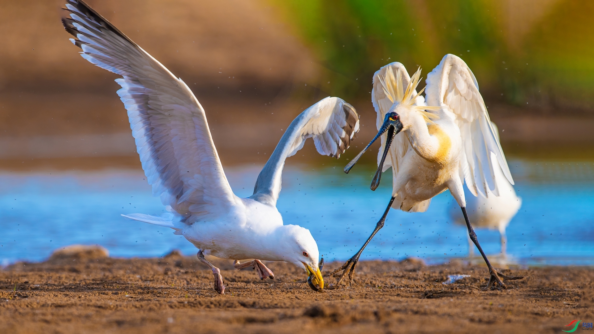 ��ƬDSC_6577.jpg