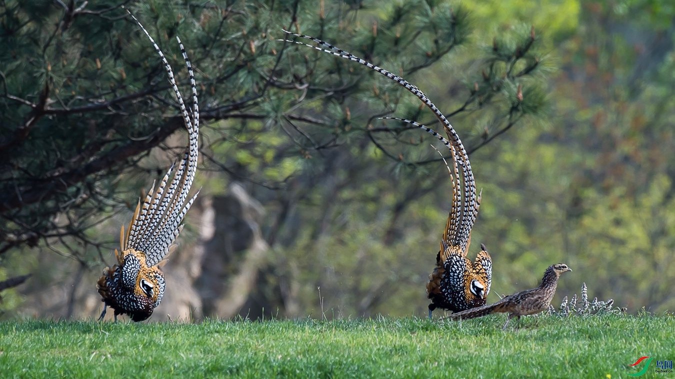 DSC_1405 - ����.jpg