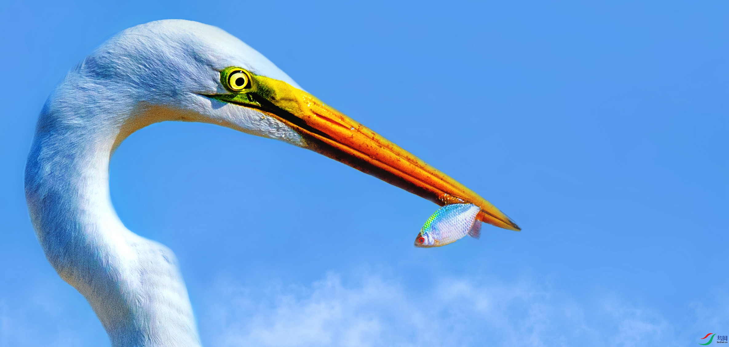 AAR_5340_����.jpg