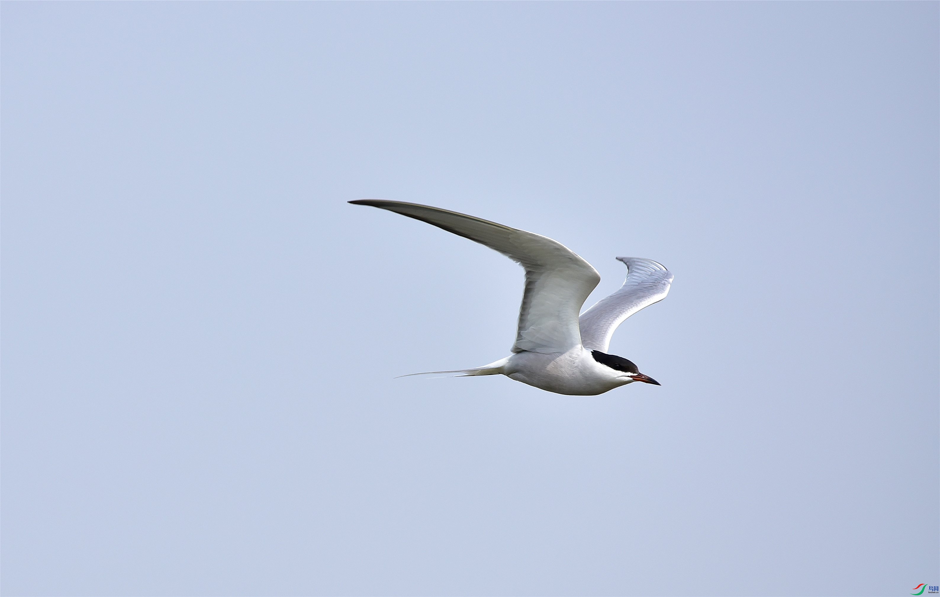 DSC_5829_����.jpg