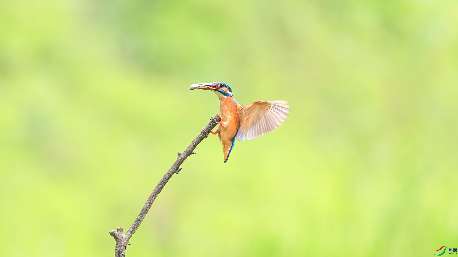 1DX_9683 ���� 2.jpg