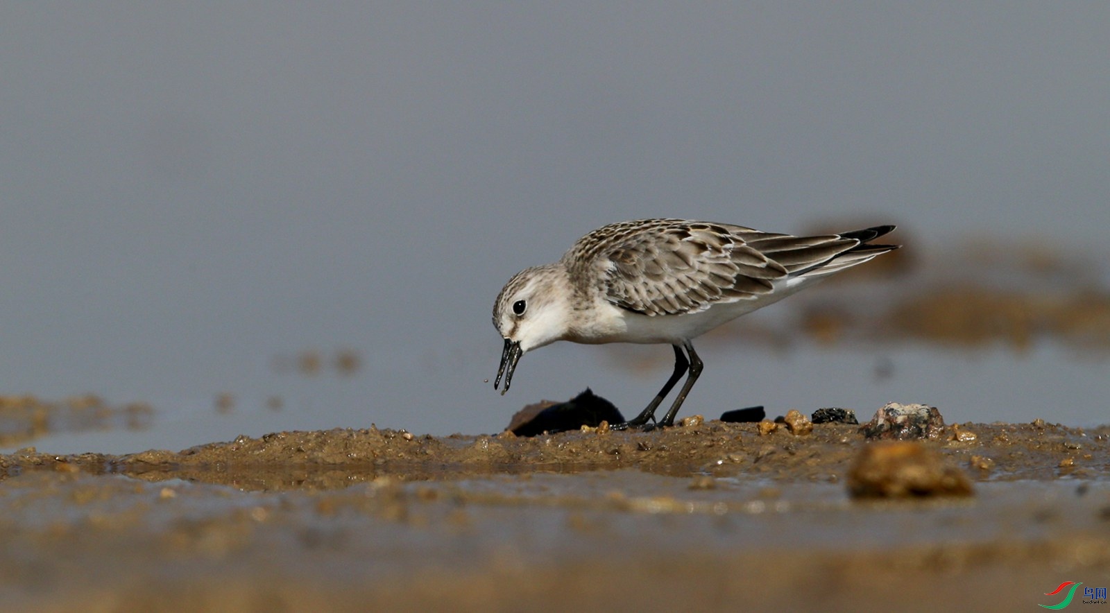 DJ4W0299�쾱����.jpg