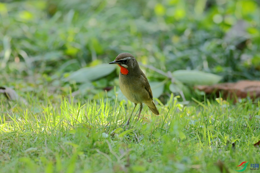 367A4504_����.jpg