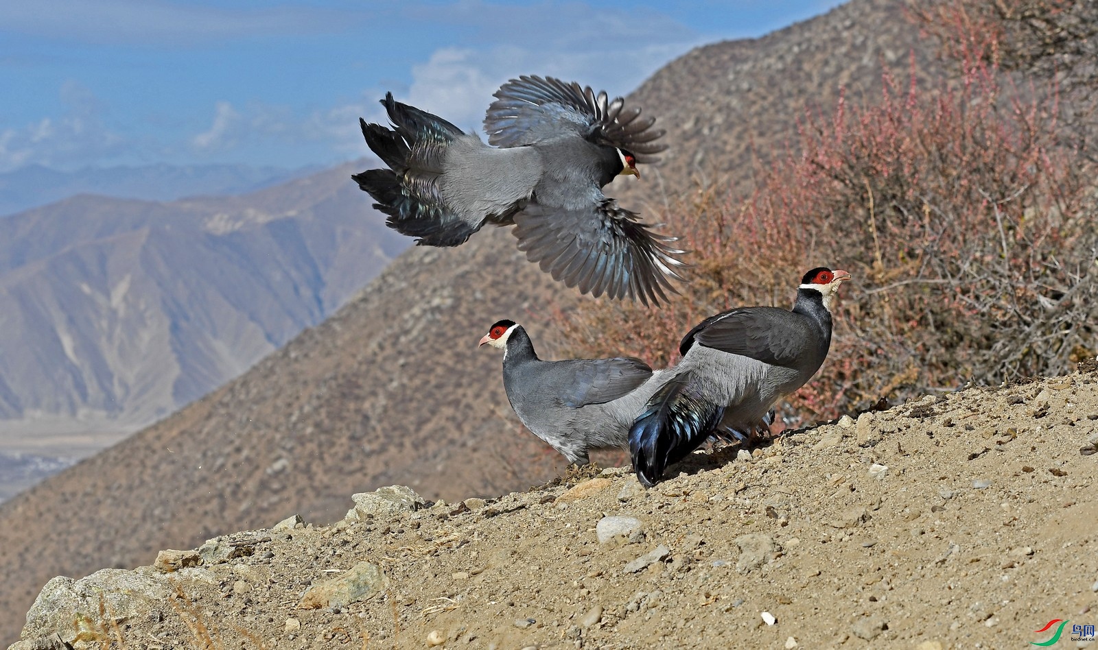 DSC_9914.JPG