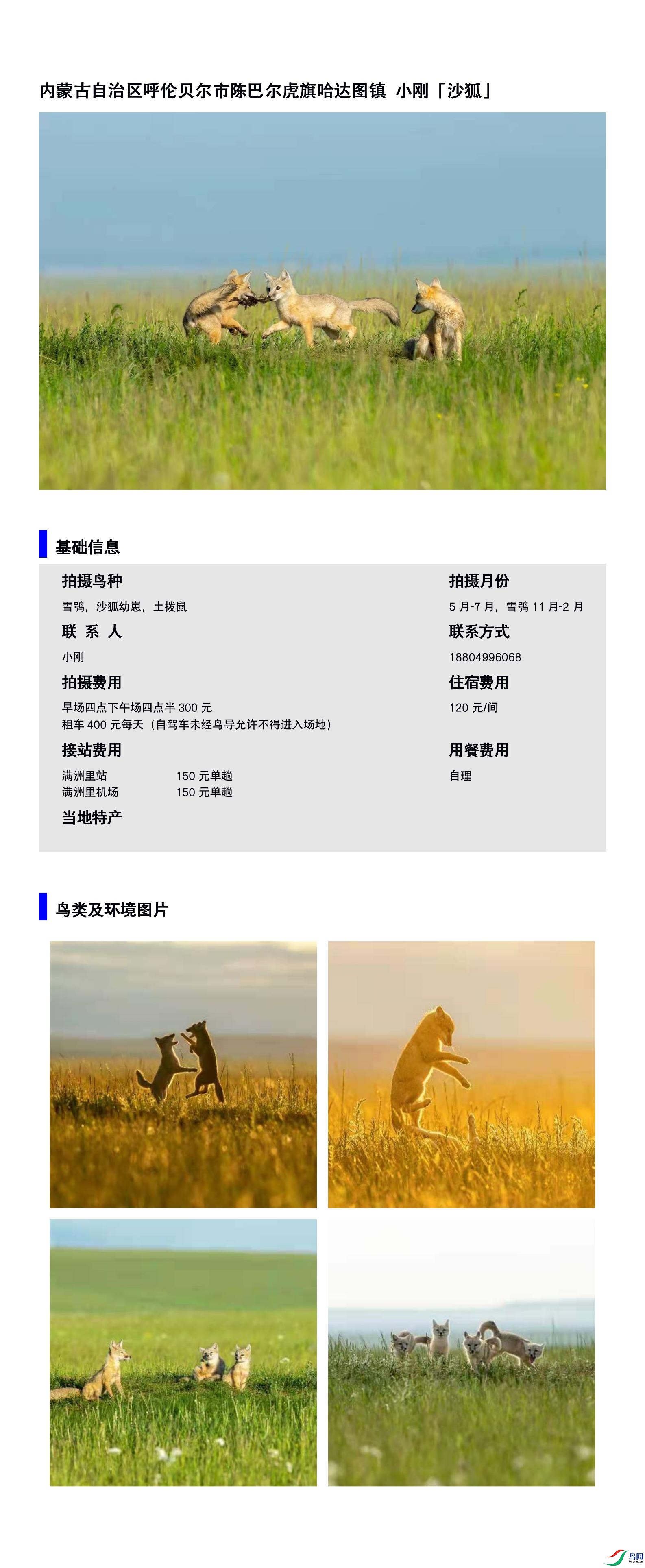 ���ɹ����������ױ����г°Ͷ��������ͼ�� С��18804996068.jpg