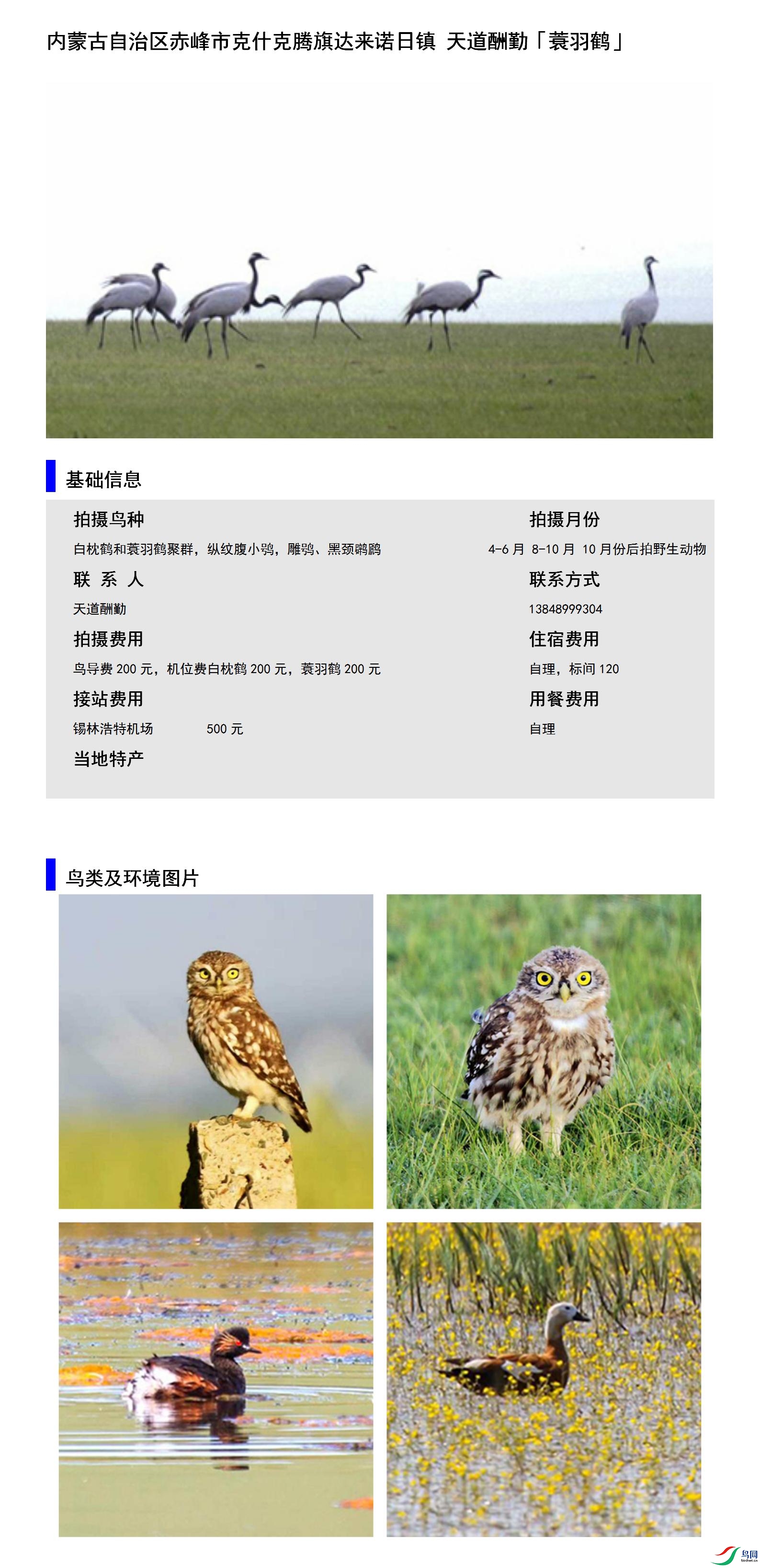 ���ɹ�����������п�ʲ���������ŵ���� �������13848999304.jpg