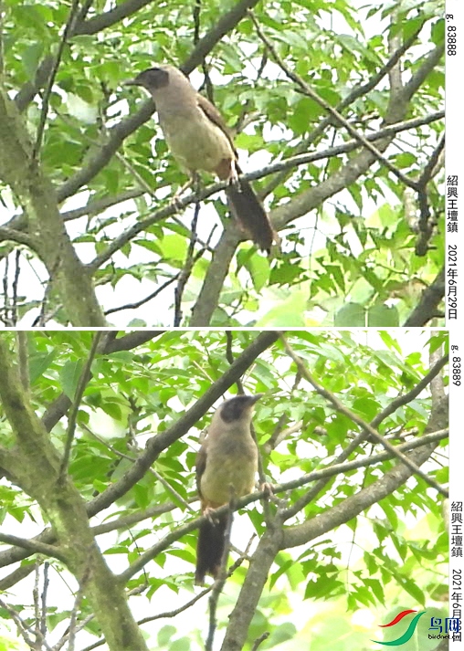 20210629 ��� �ܿ���ʲô����.jpg