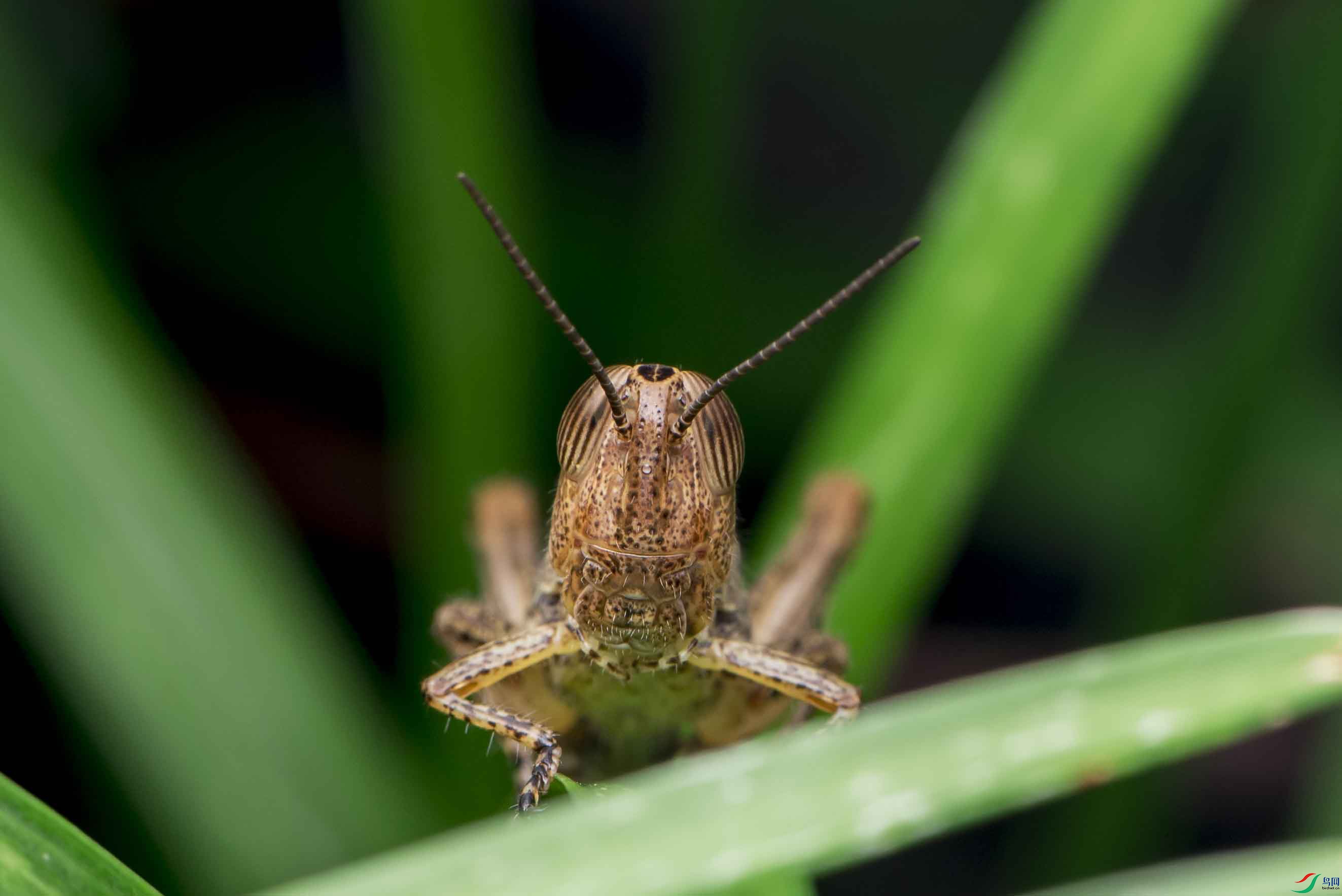 DSC_4124.jpg