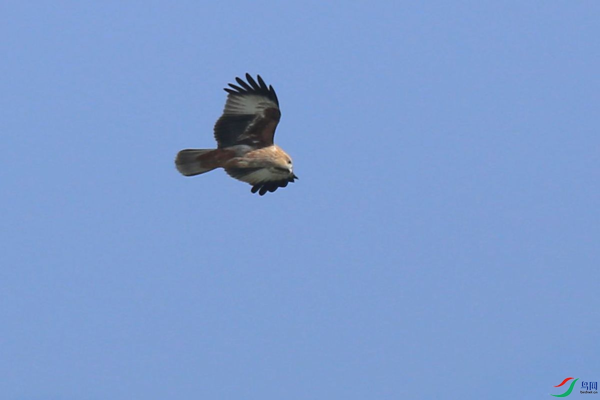 IMG_1857.JPG