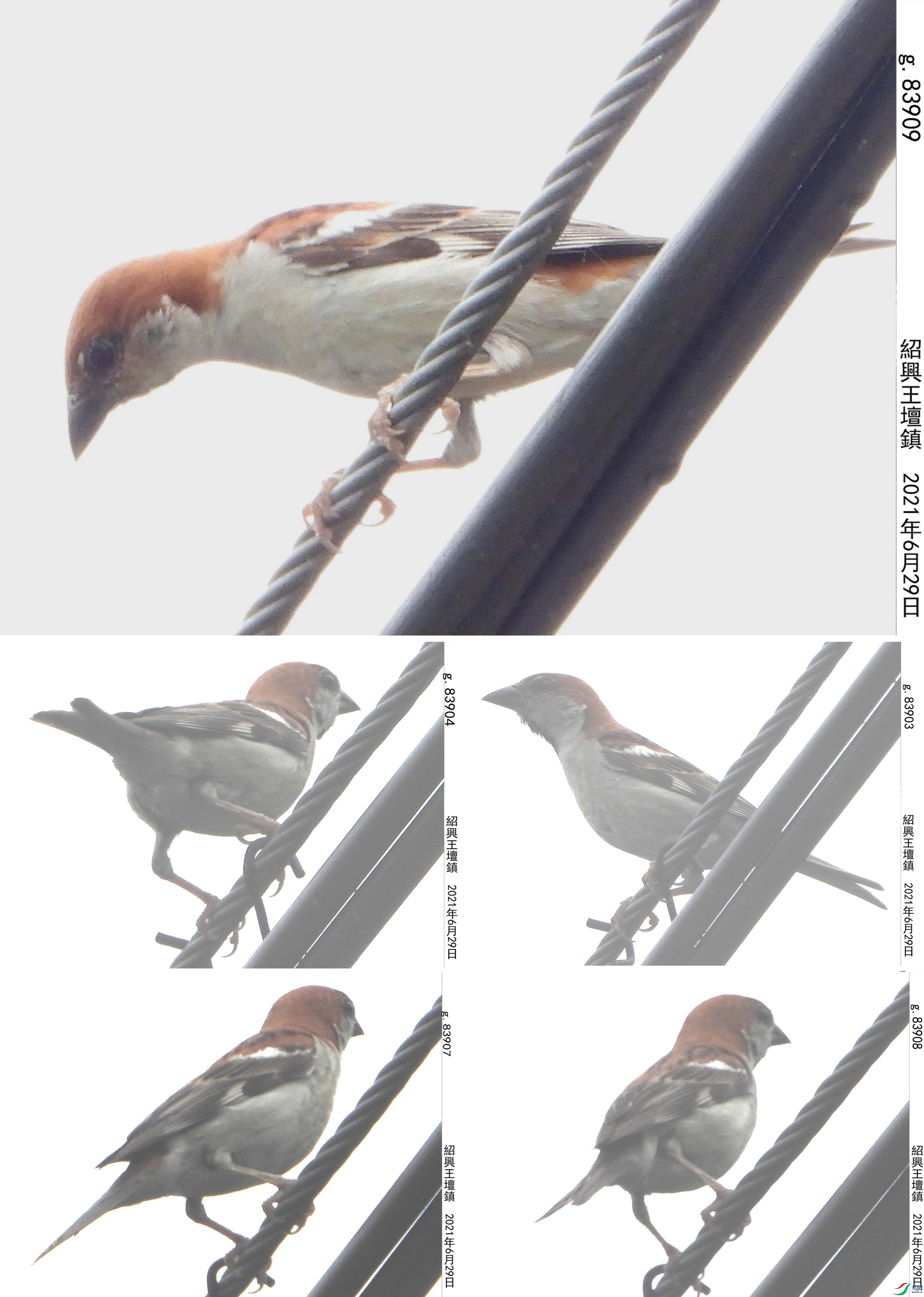 ȸ ��ô�ƺ���_����.jpg