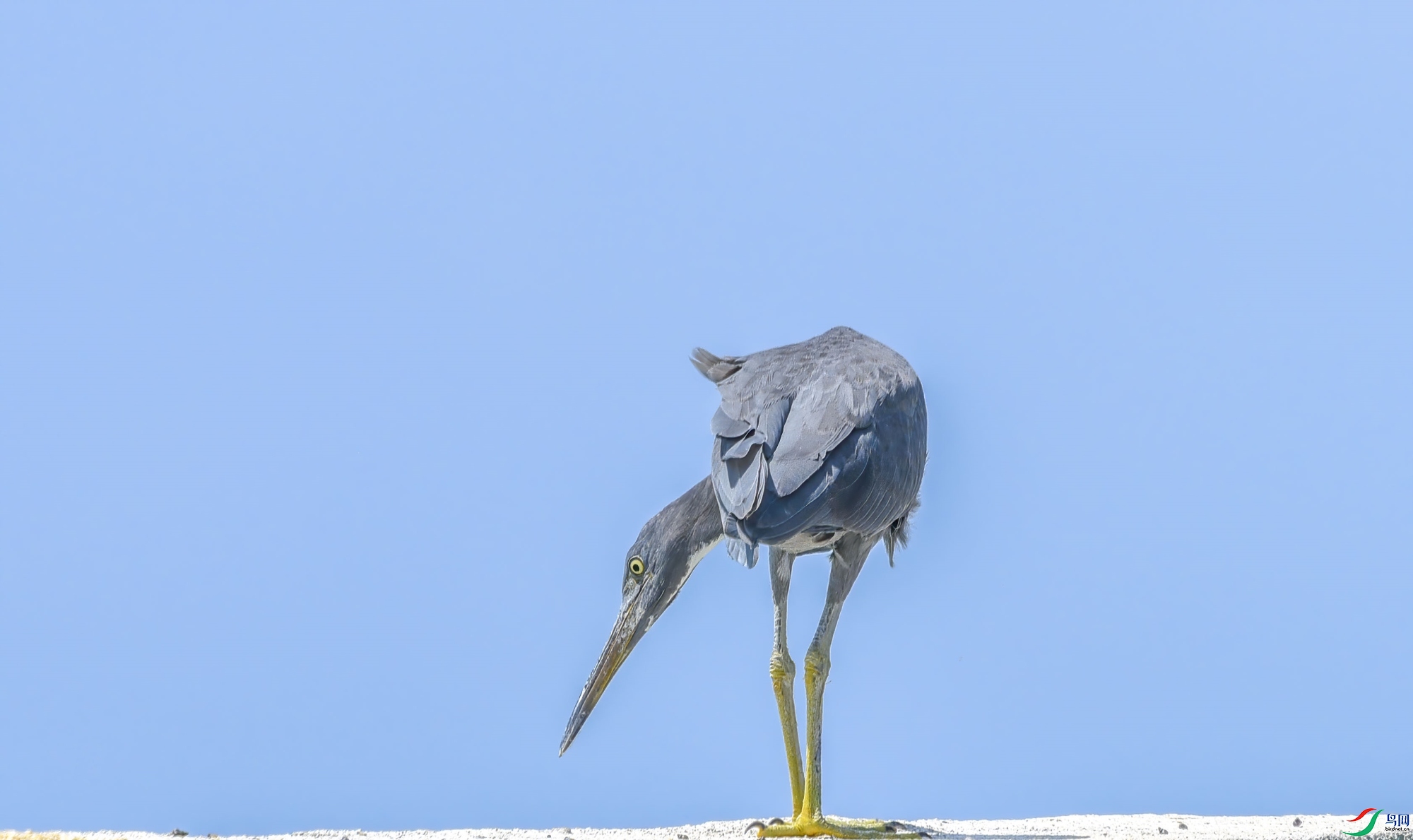 DSC_1023-_����.jpg