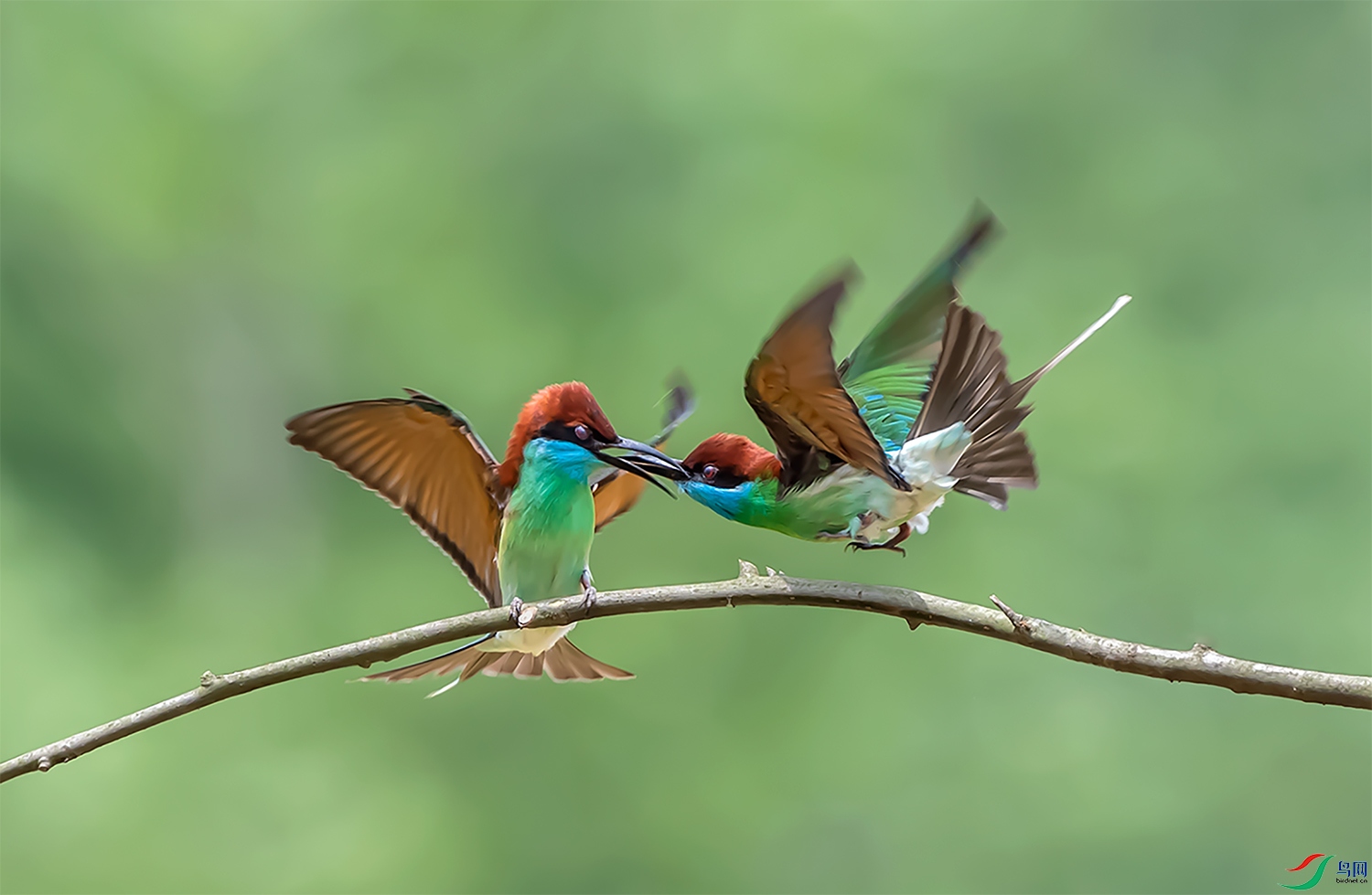 DSC_9796-�ָ���.jpg