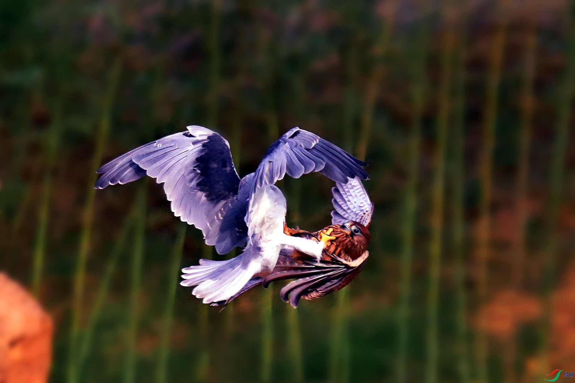 AS8I1051_����.jpg