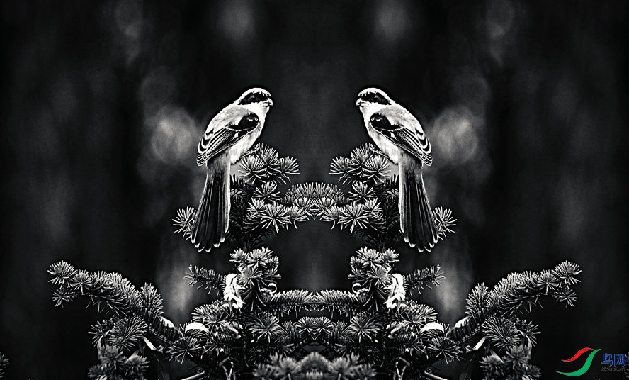 BW6I2169_����_����1_����1_����.jpg